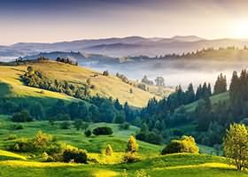 勇者之行：跃然赛场力逐鸿鹄