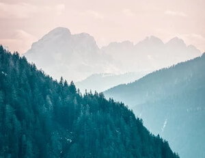 法兰克福主场失利，排名下滑至第十二